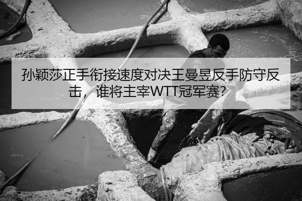 孙颖莎正手衔接速度对决王曼昱反手防守反击，谁将主宰WTT冠军赛？