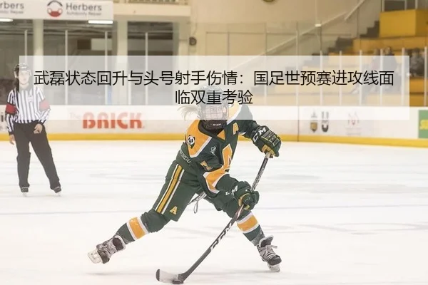 武磊状态回升与头号射手伤情：国足世预赛进攻线面临双重考验